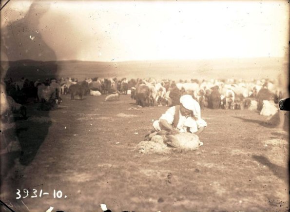 МАЭ № 3931-10