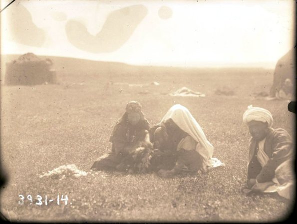 МАЭ № 3931-14