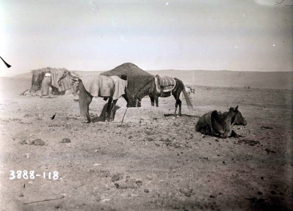 МАЭ № 3888-118