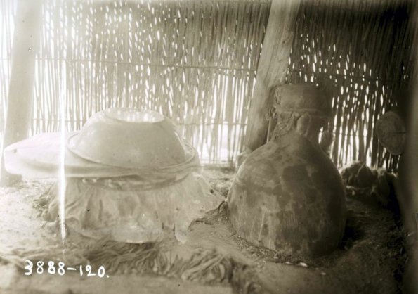 МАЭ № 3888-120